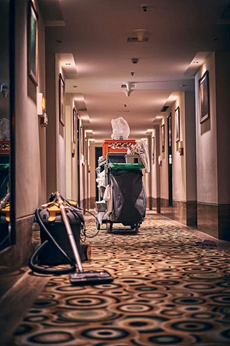 Commercial Carpet Cleaning Everett Washington